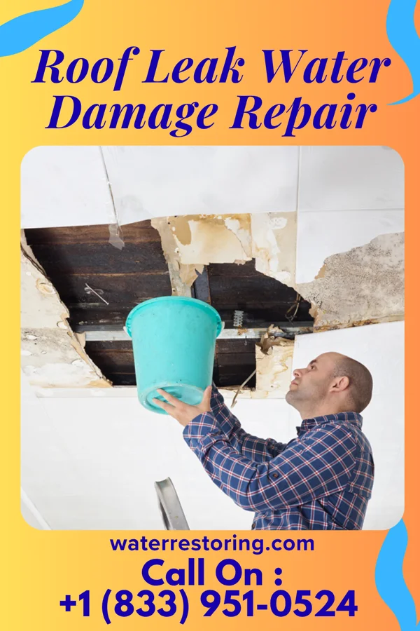 Roof Leak Water Damage Repair in Potomac, IL