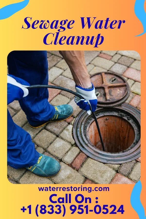 Sewage Water Cleanup in Potomac, IL